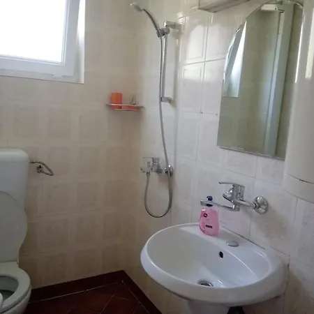 Guest house Roza