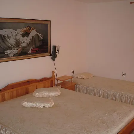 Guest house Roza