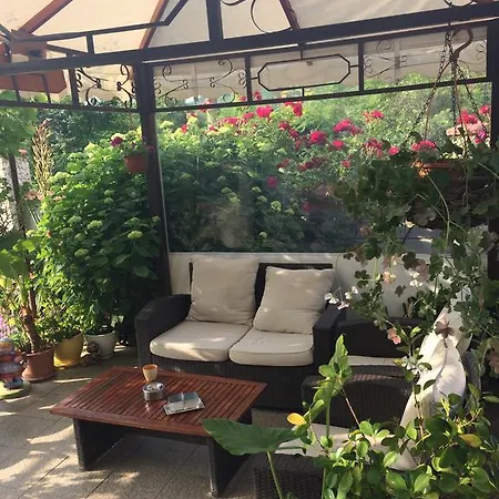 Guest house Roza